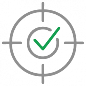 DISC model check@0.25x