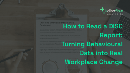 How to Read a DISC Report: Turning Behavioural Data into Real Workplace Change