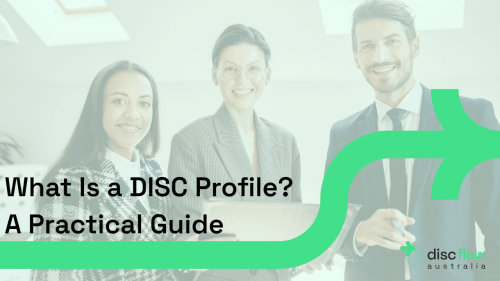 What Is a DISC Profile? A Practical Guide for HR, Leaders and Coaches
